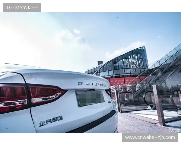 数字化转型战略实施研究：意甲俱乐部科技应用规划与运营效率提升效果评估分析